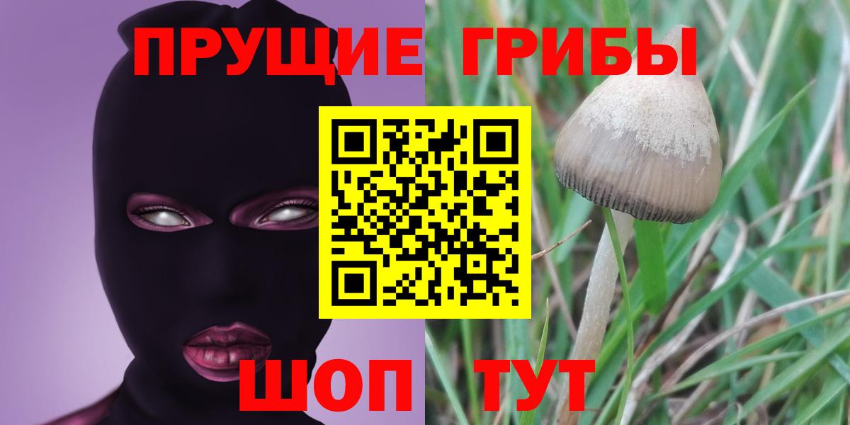 Псилоцибиновые грибы Magic Shrooms  Вход с VPN  Железноводск 